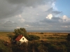 mellum003