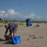 Müllsammler im Einsatz; 60 Freiwillige sammelten 12 Kubikmeter Müll in 3 Stunden. Bildnachweis: Gregor Scheiffarth/Nationalparkverwaltung Nds. Wattenmeer