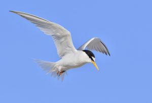 Foto: © Philipp Meister