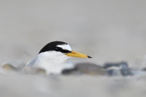 Foto: © Philipp Meister